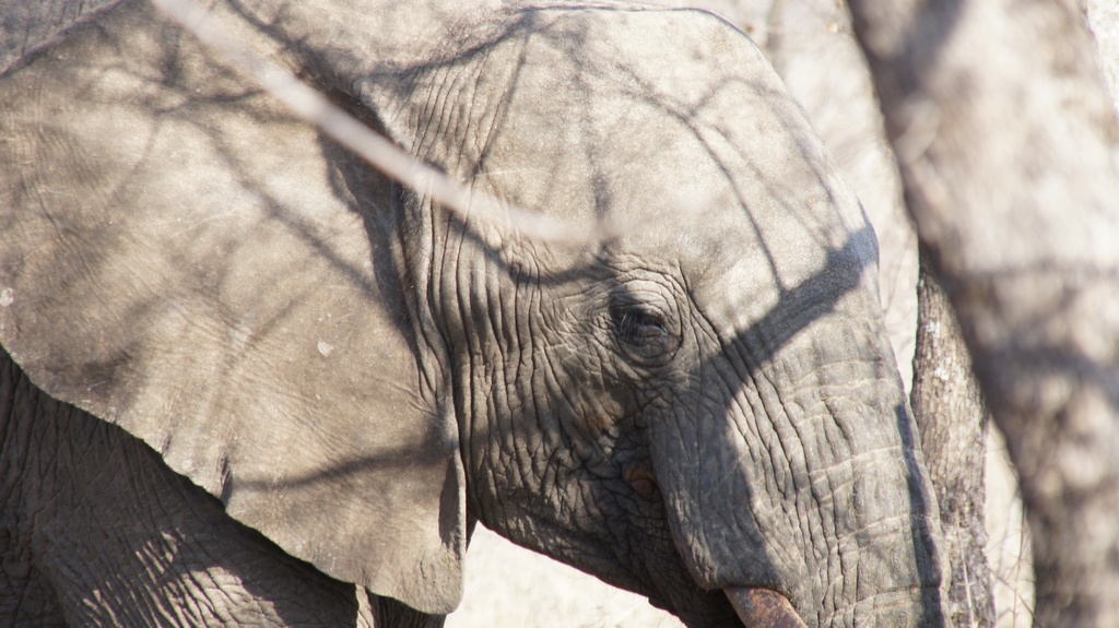 und ein wenig neugierig